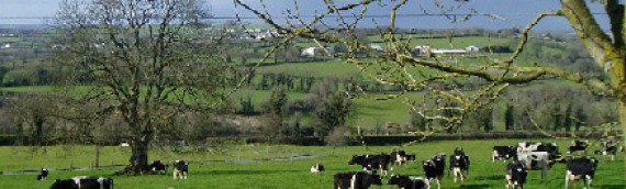 SBCI Agriculture Cashflow Support Loan Scheme
